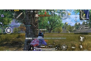 和平精英PM辅助-和平精英免费内核PM透瞄助手